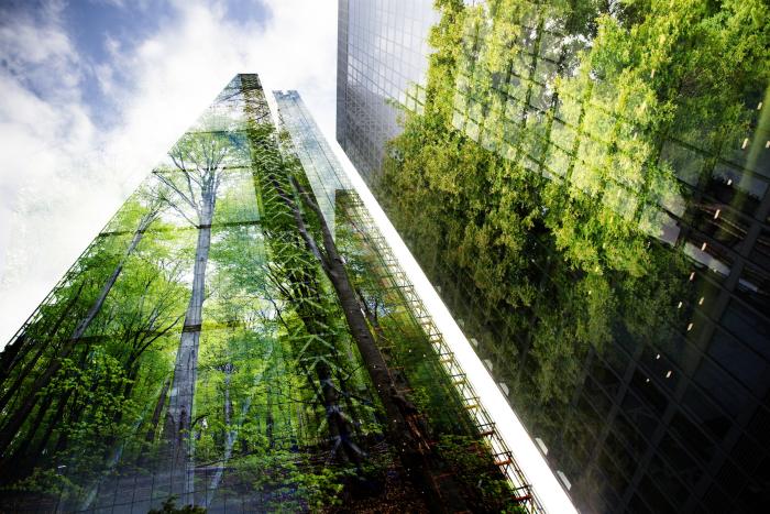Progettazione, Protezione, Recupero e Sostenibilità Ambientale