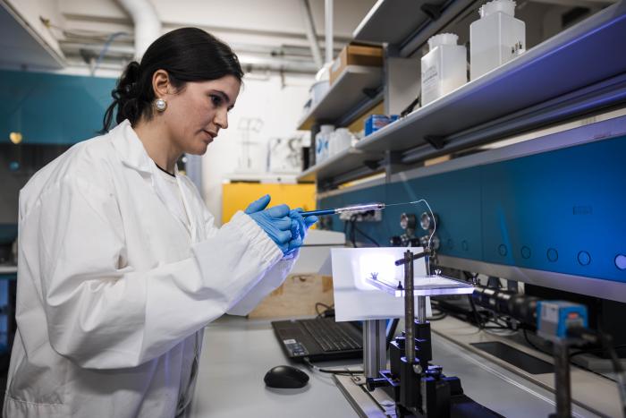 Laboratorio TCCF